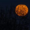 full moon